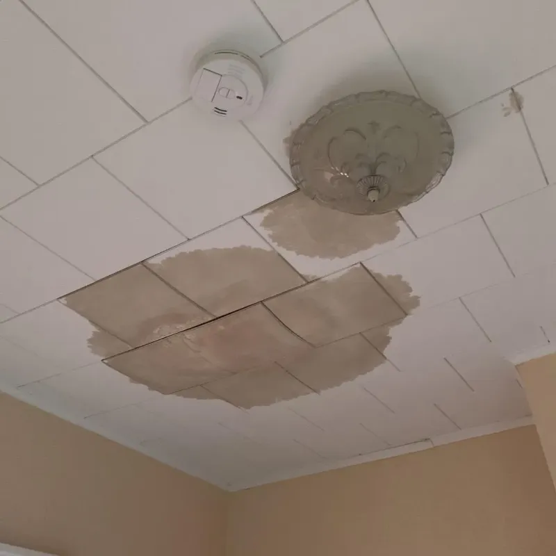 Ceiling Water Damage Repair in Fredericksburg, VA