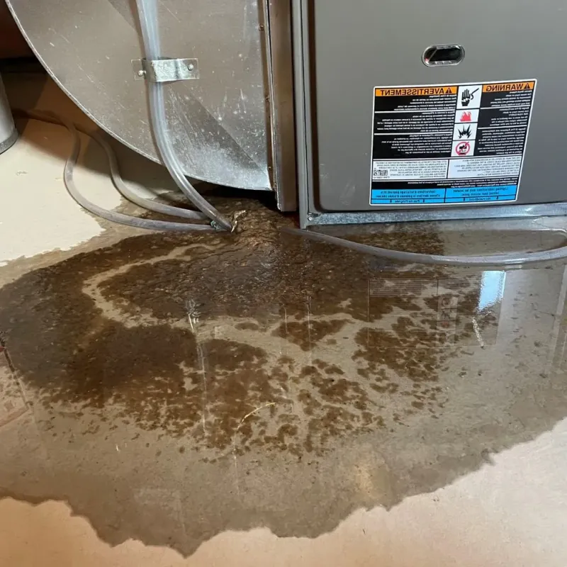 Pipe Burst and Leak Restoration in Fredericksburg, VA