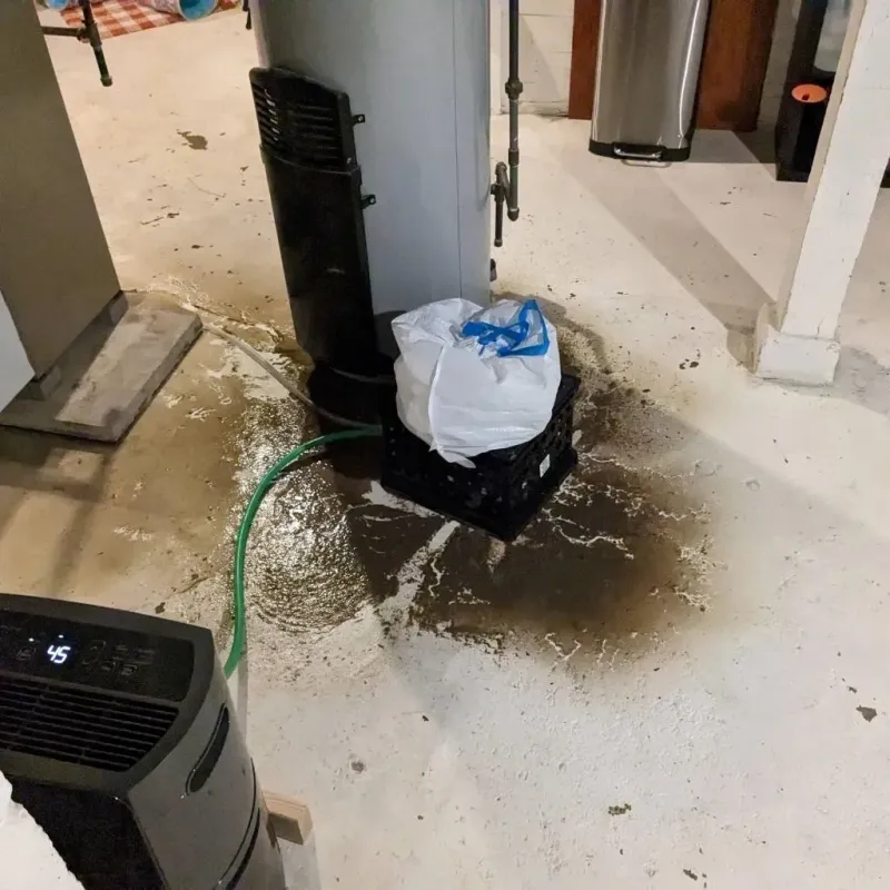 Sewage Backup Cleanup Service in Fredericksburg, VA